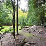 Вилла La Foret By Droomvilla Стумон
