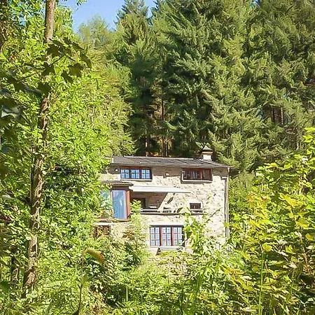 La Foret By Droomvilla