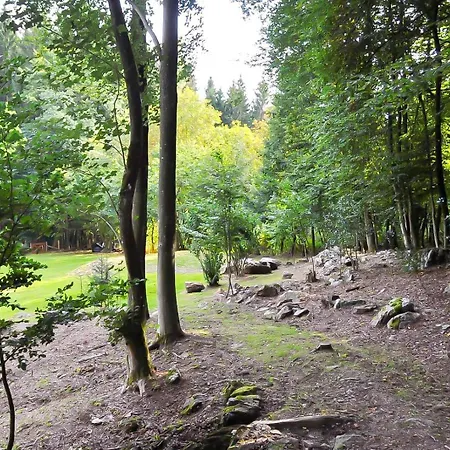 Vila La Foret By Droomvilla Stoumont